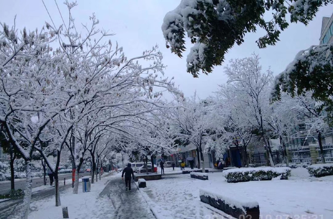 园林景观工程施工前的准备,园林景观基础施工流程解析