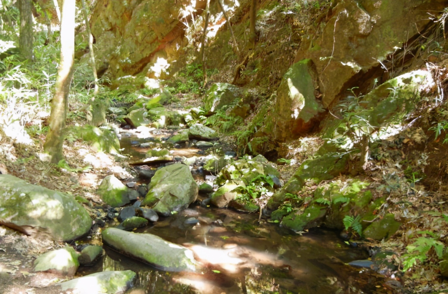 昆明周边美食一日游自驾游,昆明周边自驾游露营视频