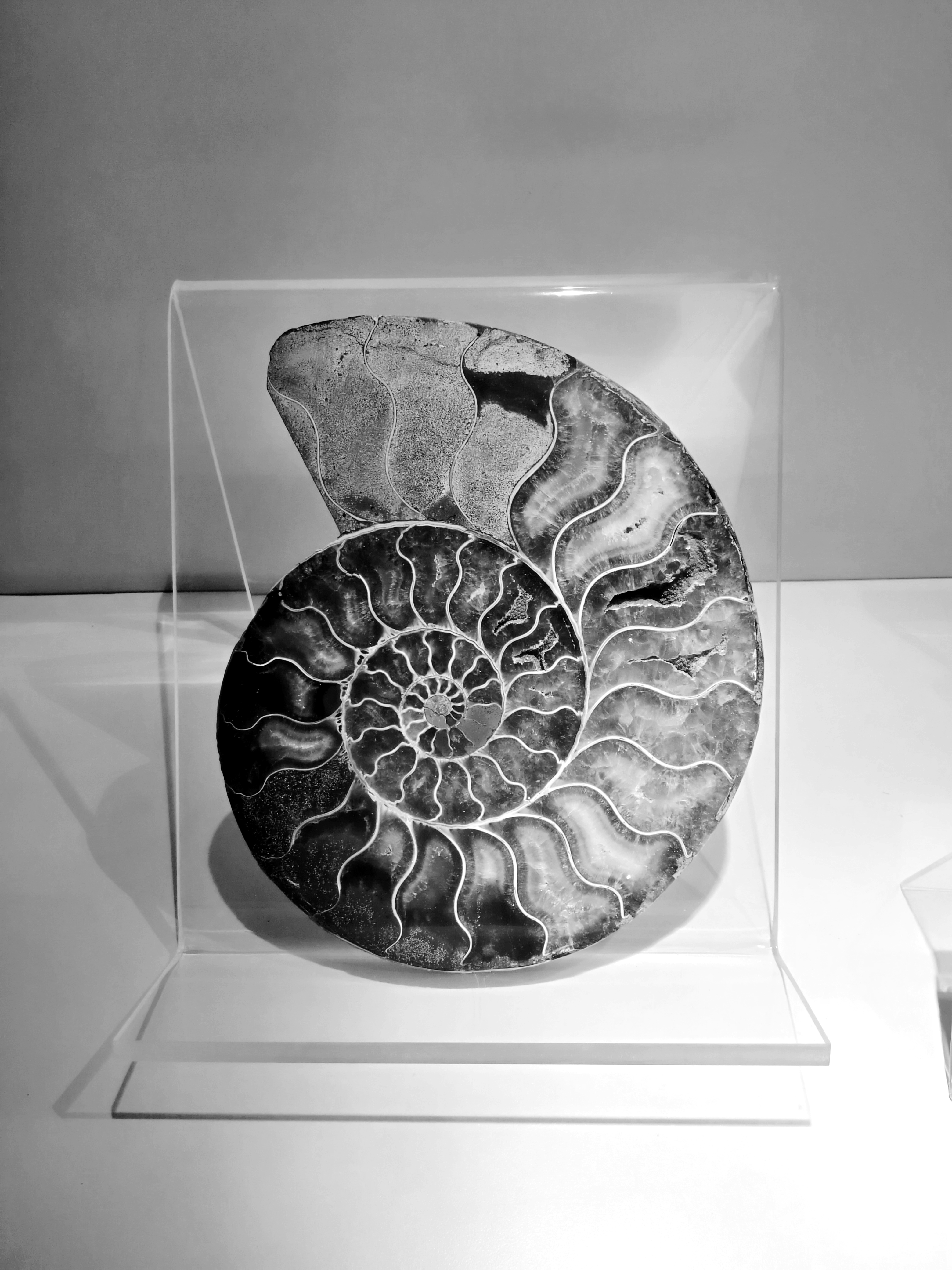 古生物博物馆视频,古生物博物馆