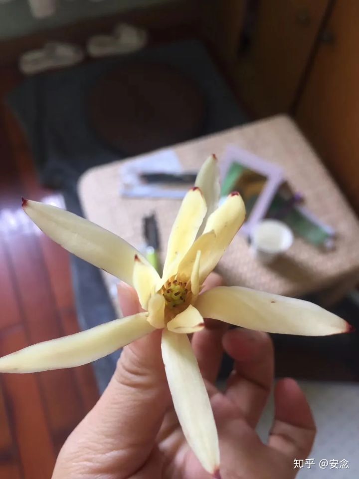 一个疑难嗓音疾病患者的治愈历程（重庆治愈篇）