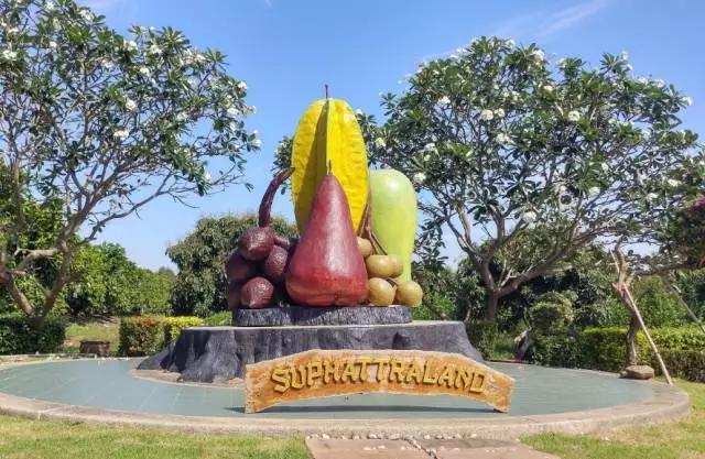 泰国芒果自助,泰国吃喝玩乐攻略榴莲自助餐