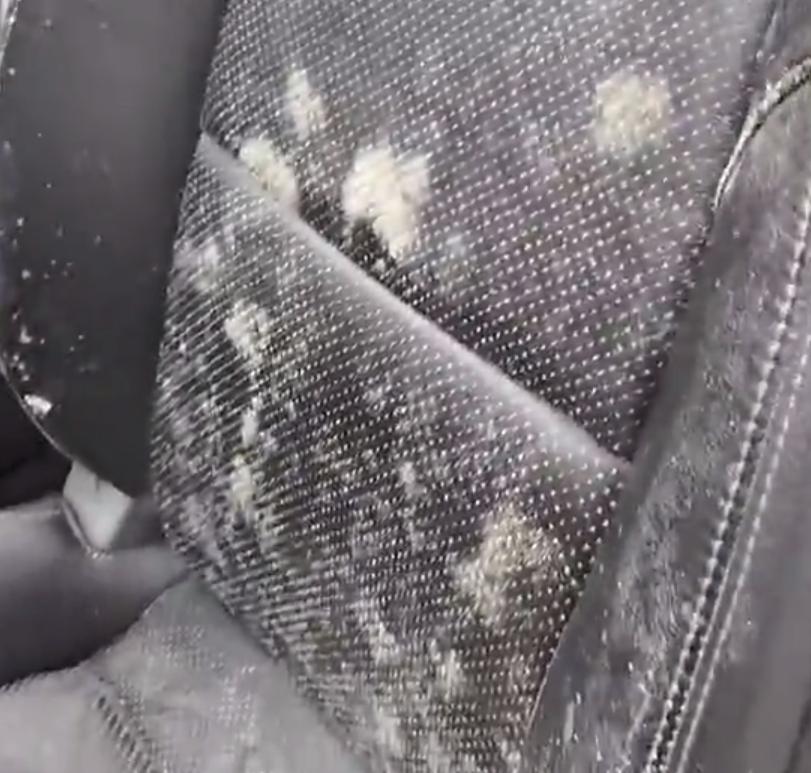 因停车问题保时捷车主,保时捷停车事件