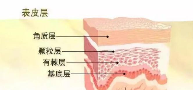 皮肤突然出现一点红血丝怎么回事,皮肤红血丝明显有什么坏处