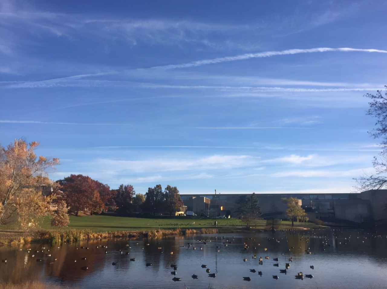 bostonuniversity,在波士顿的大学