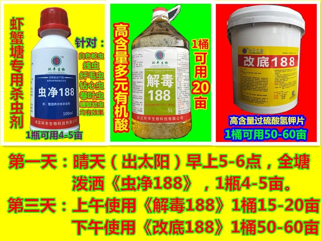 小龙虾养殖技术一亩投资多少钱,200亩小龙虾养殖