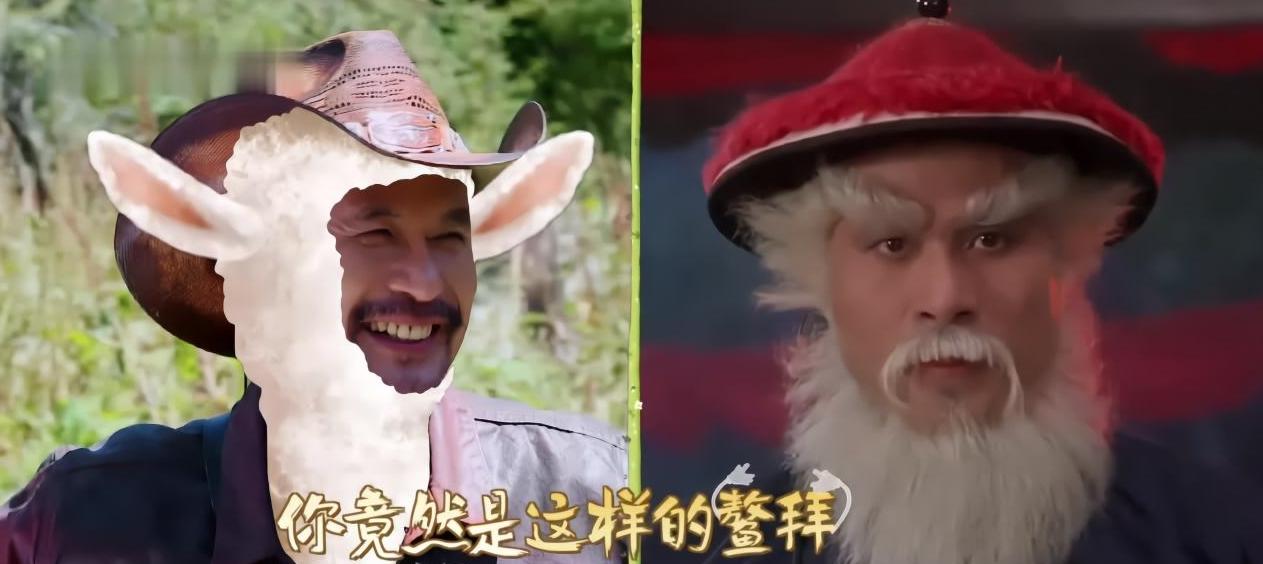 徐锦江皮衣外套,一路成年徐锦江性格