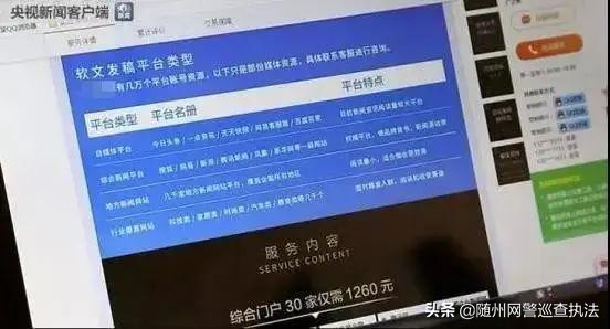 网络水军和网警,网警处罚案例