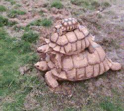 我在学校超市买了一包南京煊赫门收了我19块，我该怎么举报