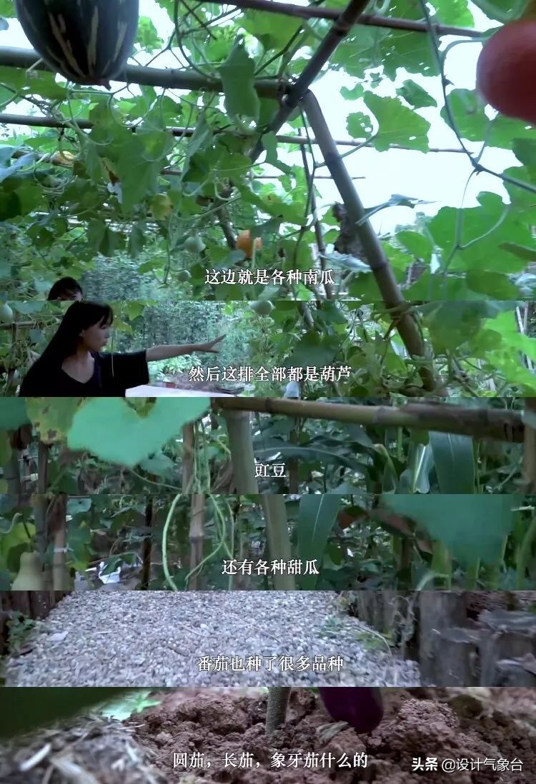 李子柒生活大揭秘,多少人羡慕李子柒的生活