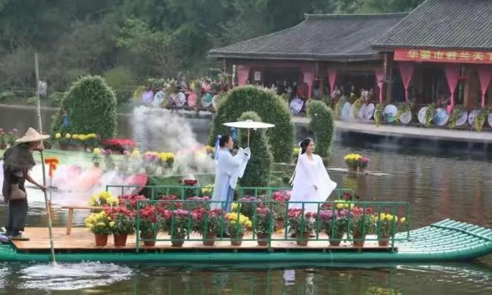 赏菊花美丽的风景无处不在,绚丽多彩的菊花千姿百态