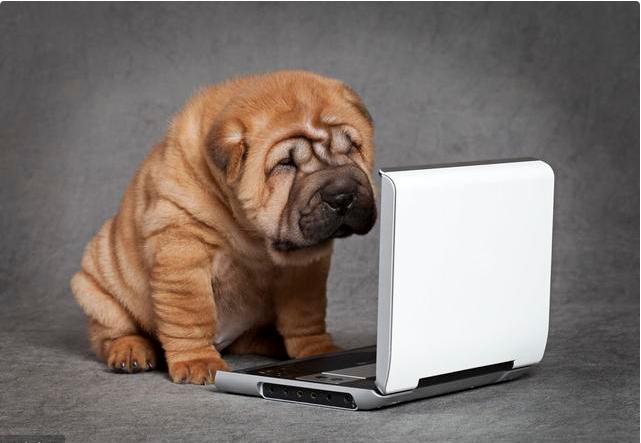 零基础学ps美工多久可以学会,美工薪资高不高