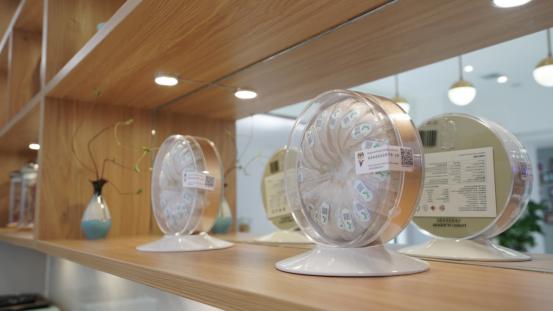 为什么马来西亚的燕窝最好,燕窝的那些事儿