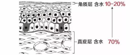 甘油是否真的能保湿可会导致皮肤变黑油性皮肤可以用吗