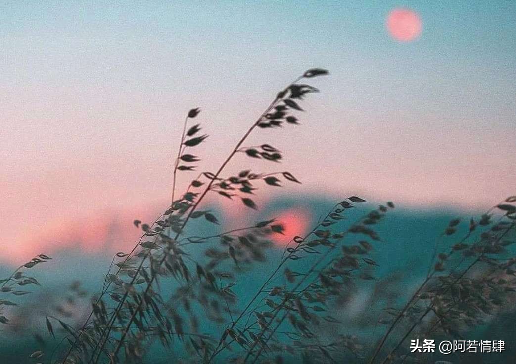 腾讯微博被关闭了怎么办,腾讯微博将于9月28日停止运营