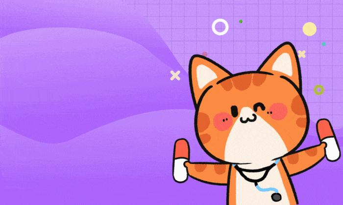 猫咪很可爱但是没有尾巴,猫咪的行为为什么这么可爱