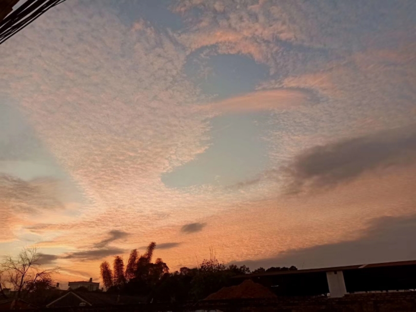 薛姓头像2020最火微信头像,2020年最招财微信头像图片大全