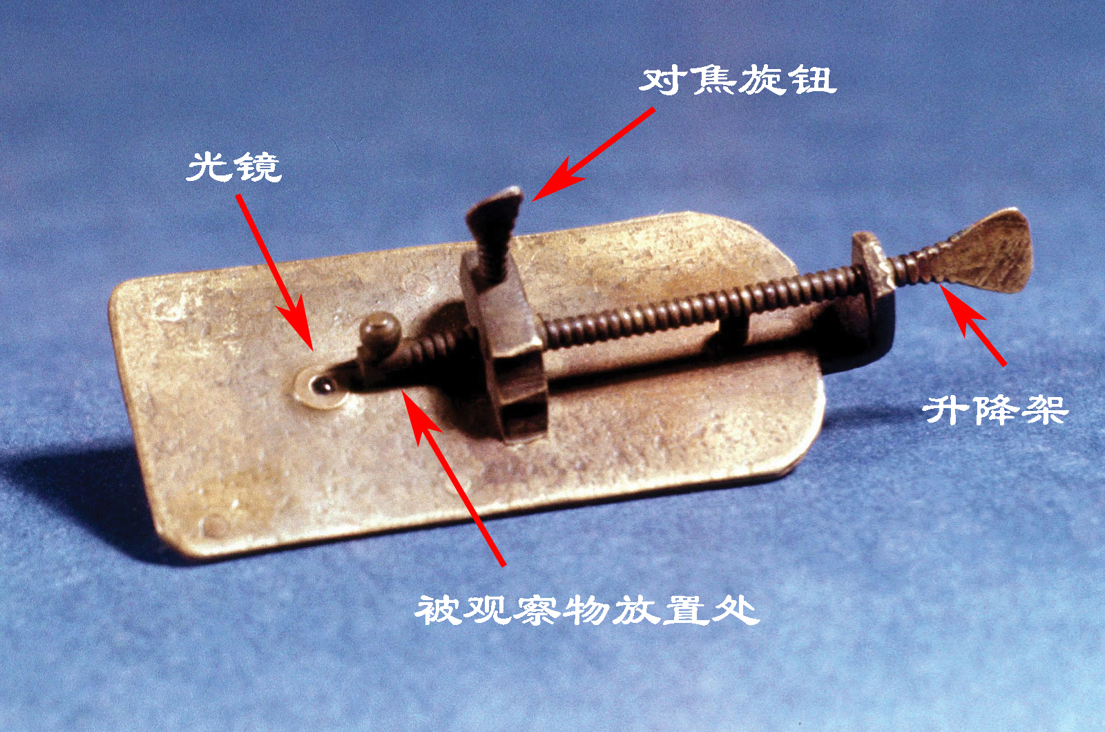 探索微观世界显微镜发展史,显微镜下的微观世界怎么展示