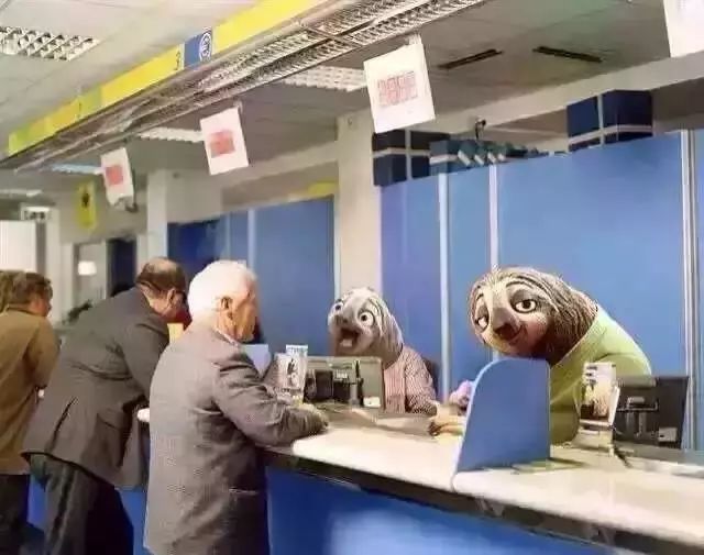 意大利留学办理流程图片高清,意大利留学艺术生居留