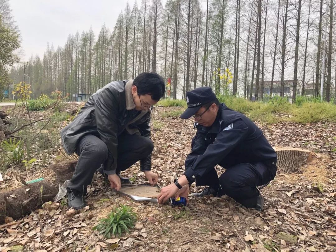 常见的皮肤消毒药,皮肤消毒产品