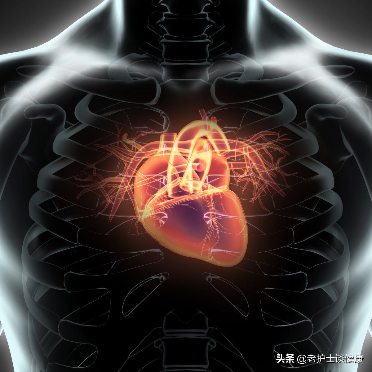心率失常会猝死？医生提醒：做好这6件事，心脏不会突然“停机”