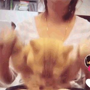 七彩世界今天开门了吗,七彩世界周年庆