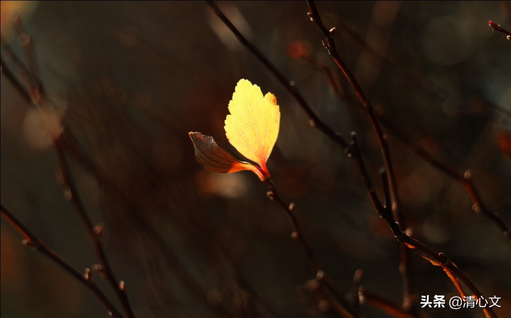 找不到门路的成语,找不到门路干什么
