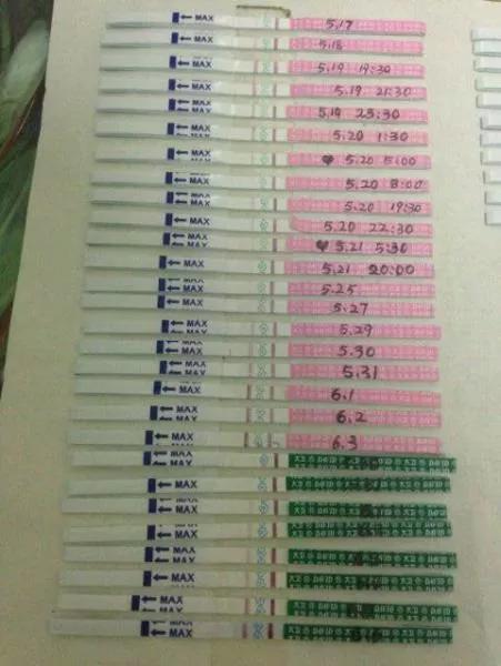 怀孕的女人都是这个想法吗,怀孕的女生是怎么过的