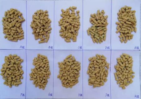 内外兼修方可行稳致远,正大康地饲料和天津正大哪个好