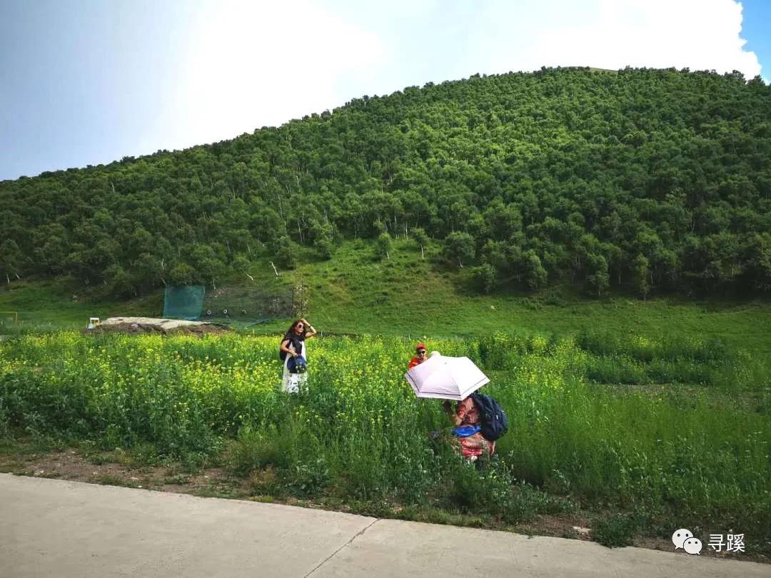 内蒙古大草原自驾游精品线路,辉腾锡勒草原黄花沟旅游攻略