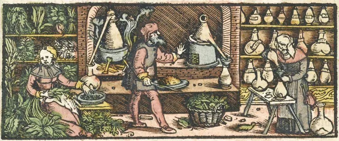 虞美人花精油精华功效和作用,花朵萃取的精油