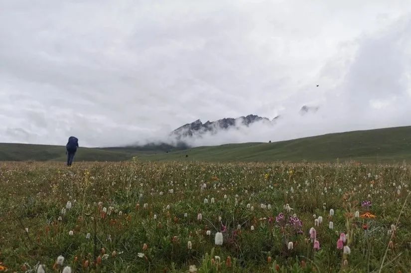 8月格聂c线,8月走格聂南线穿什么