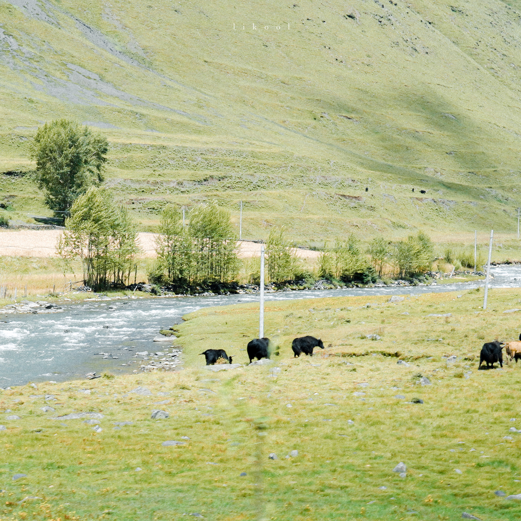 智者不入爱河无情终将上岸壁纸,ipad高清壁纸图片全屏