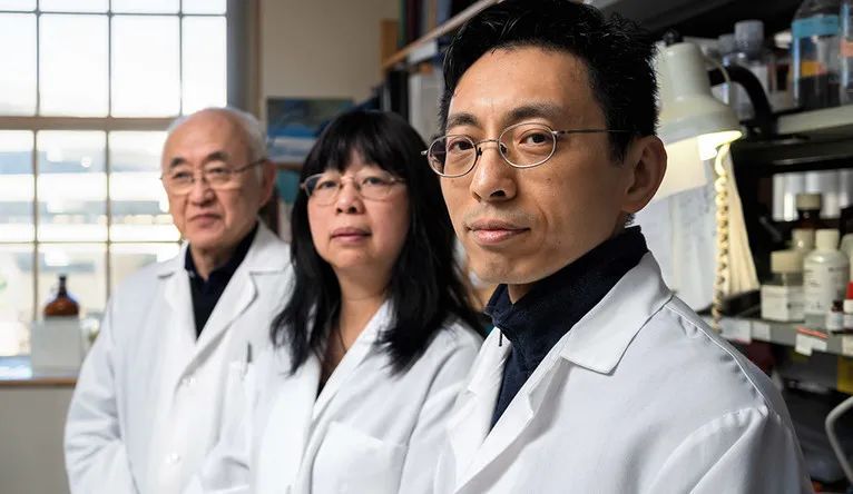 耶鲁药理学教授郑永齐:古老中药成为“解锁”癌症治疗的新可能