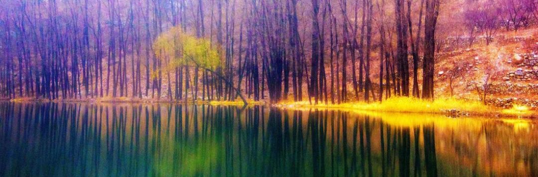 「原创诗词」侯*红庆**|笑傲枝头清骨冷此花不与百花同