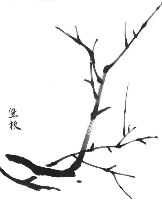 国画教程零基础入门树的画法,国画花卉线稿教程大全