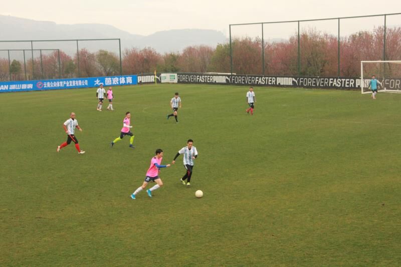 第四届阳光排球联赛,昆明阳光足球联赛视频