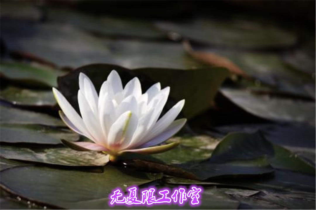 王牌贱谍深度解析,王牌贱谍所有人物