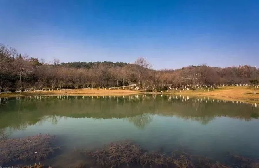 南京有哪些免费公园,南京象山湖公园免费攻略