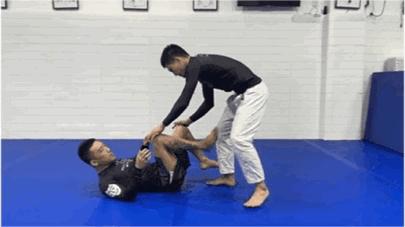 格斗运动员SC训练计划（巴西柔术篇）