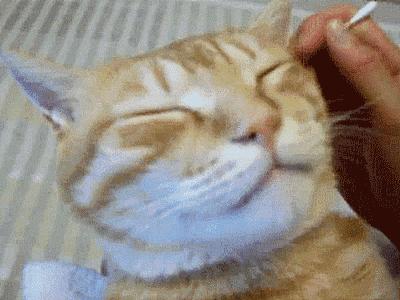 耳朵怎么掏才是正确的,耳朵怎么掏得干净安全