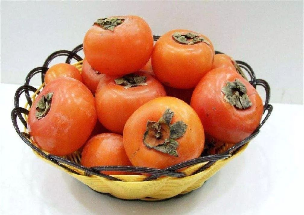 骆驼奶对糖尿病真的有好处吗,骆驼奶对于糖尿病预防研究