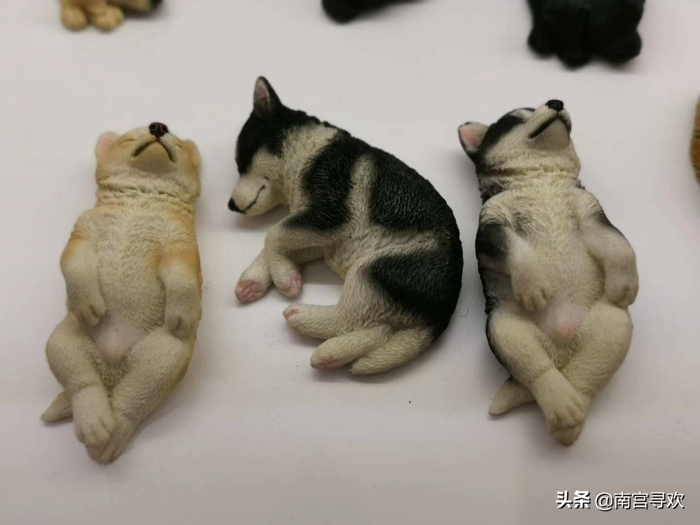 2020搞笑经典语录,2020年经典语录搞笑