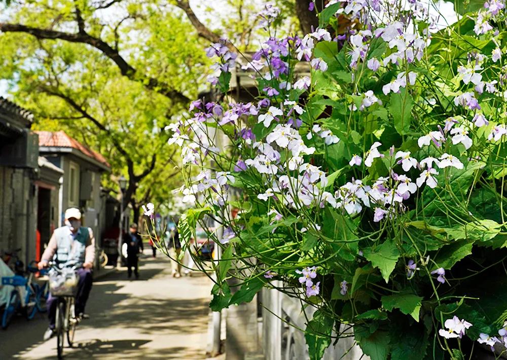 四月发生的事,东城发生的事