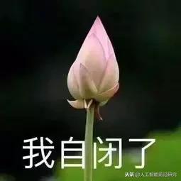 双11第一波买家秀曝光,双11过后网友第一批买家秀