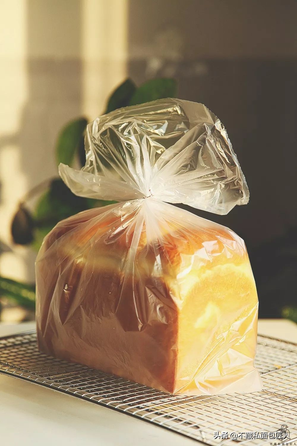 吐司变软的做法,吐司刚出炉表皮很硬很脆