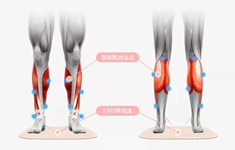 纯手工按摩放松肌肉,专业级深层肌肉按摩放松