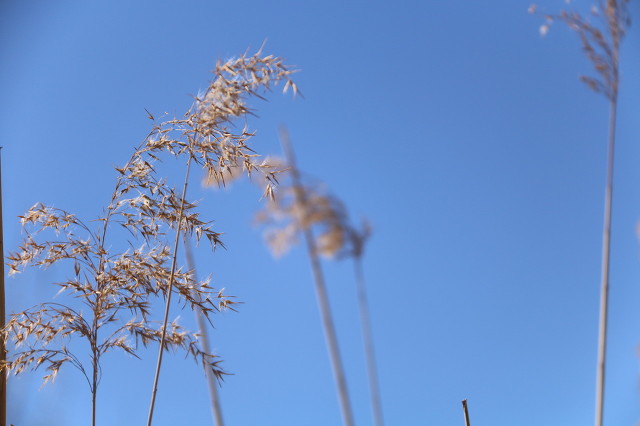 最无望的暗恋是什么体验知乎,最无望的暗恋后续