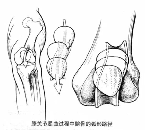 练就笔直大长腿，OX腿型如何应对？！｜运动康复003课