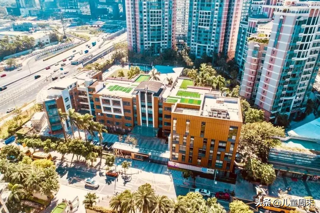 深圳外国语小学有什么政策,深圳春蕾小学升百合外国语