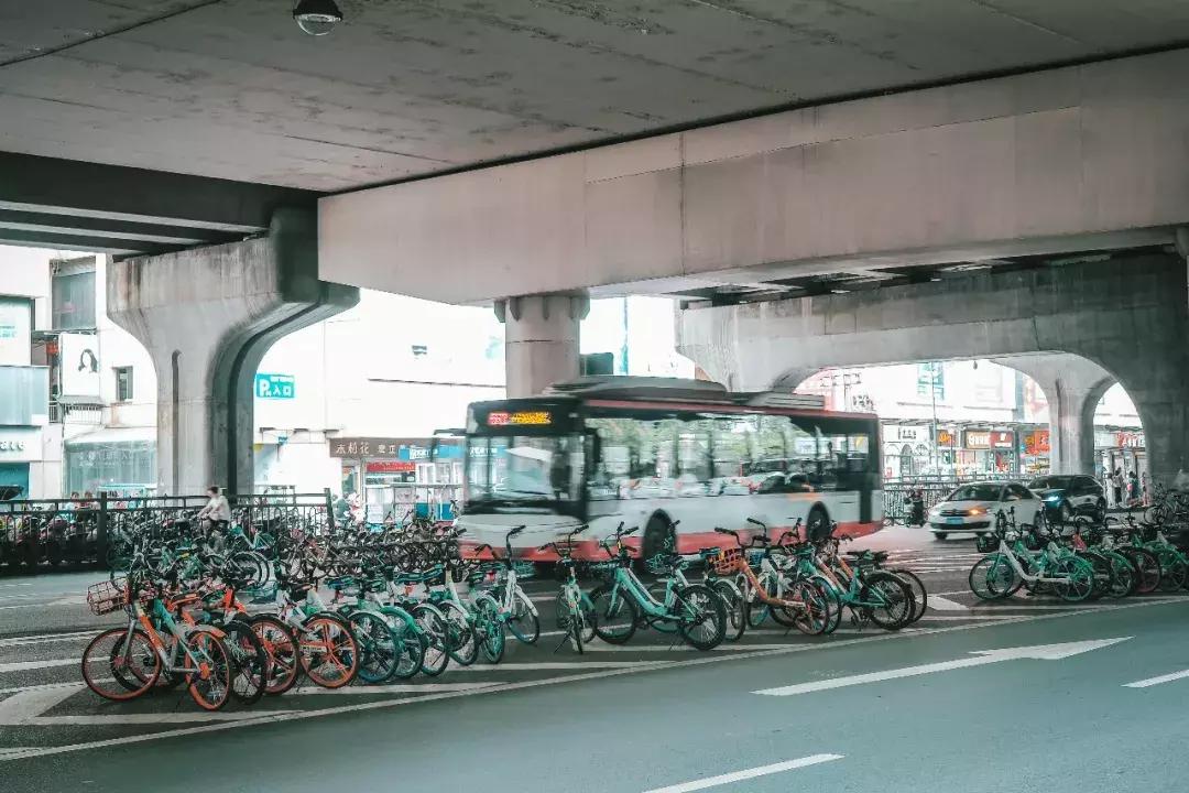 荷花池vs春熙路,成都荷花池攻略技巧